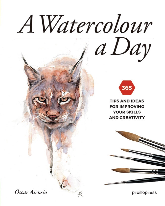 Book cover image for A Watercolour a Day ISBN: 9788416504893
